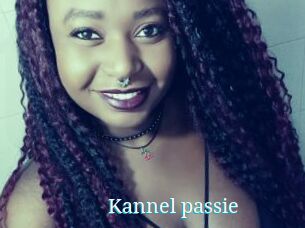 Kannel_passie