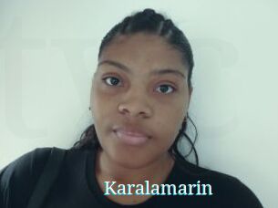 Karalamarin