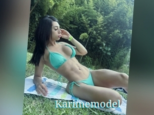 Karimemodel