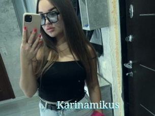 Karinamikus