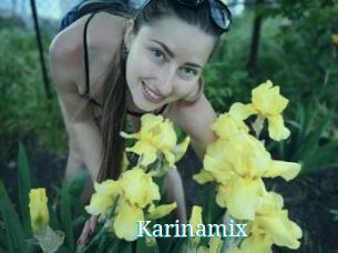 Karinamix