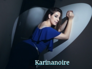 Karinanoire