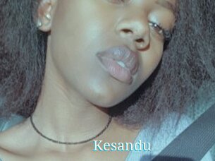 Kesandu