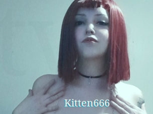 Kitten666
