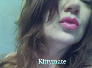 Kittymate