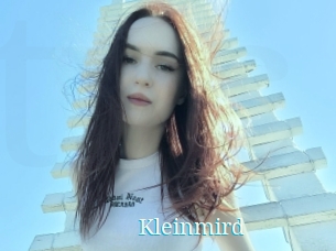 Kleinmird