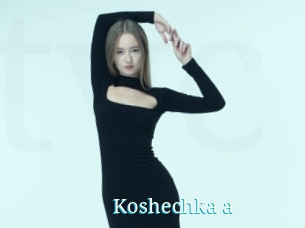 Koshechka_a
