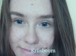 Kriisboom