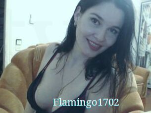 Flamingo1702
