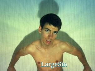 LargeSin