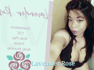 Lavender_Rose