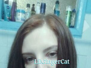 LilGingerCat