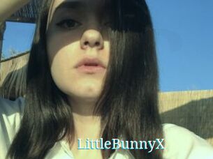 LittleBunnyX