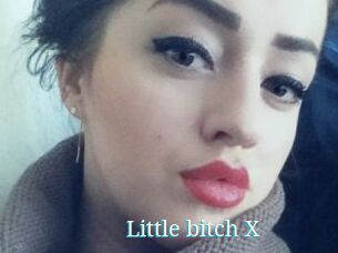 Little_bitch_X