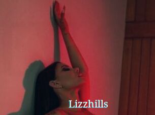 Lizzhills