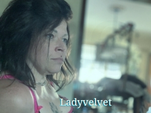Ladyvelvet