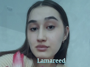 Lamareed