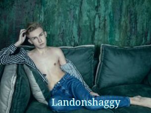 Landonshaggy