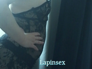 Lapinsex