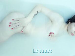 Le_mure