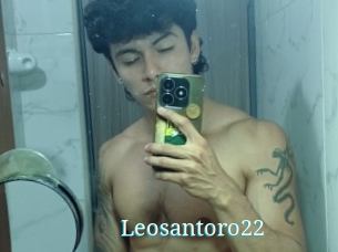 Leosantoro22
