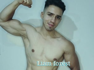 Liam_forest