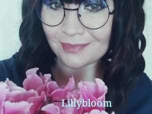 Lillybloom