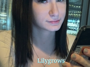 Lilygrows