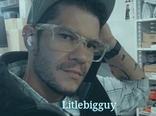 Litlebigguy