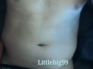 Littlebig99