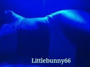 Littlebunny66