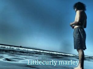 Littlecurly_marley