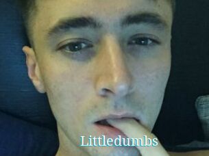 Littledumbs