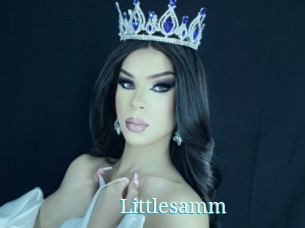 Littlesamm