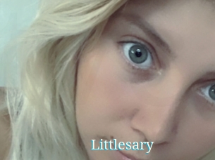 Littlesary