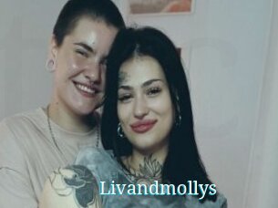 Livandmollys