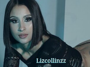 Lizcollinzz