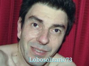 Lobosolitario73