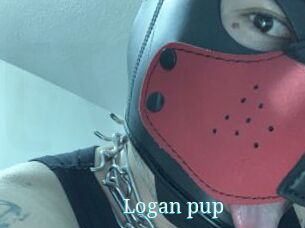 Logan_pup