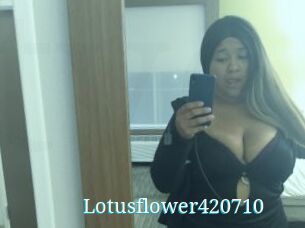 Lotusflower420710