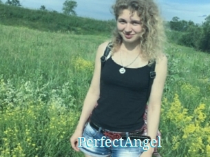 PerfectAngel