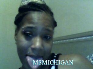 MSMICHIGAN