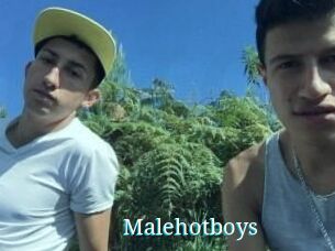 Malehotboys