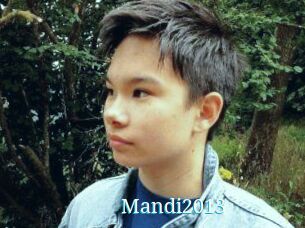 Mandi2013