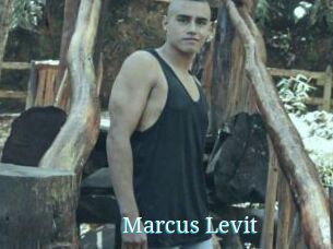 Marcus_Levit