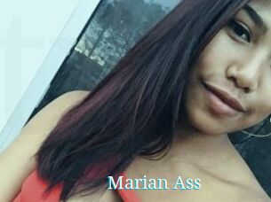 Marian_Ass