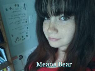 Meana_Bear