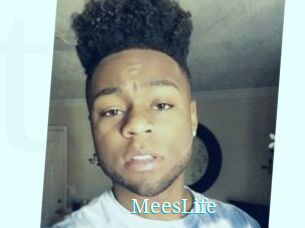 MeesLife