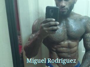 Miguel_Rodriguez