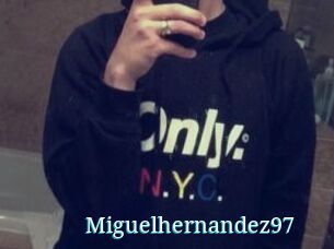 Miguel_hernandez97